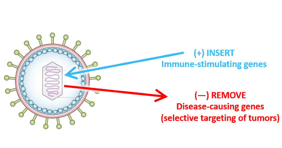How Oncolytic Virus Therapy is Changing Cancer Treatment
