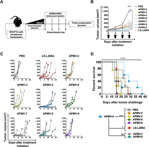 What if we convert our former viral enemies into therapeutic allies against cancer?