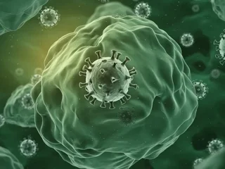 ICECYL – R&D Project (co-financed by ERDF)