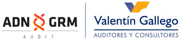 Valentín Gallego Auditores & Consultores